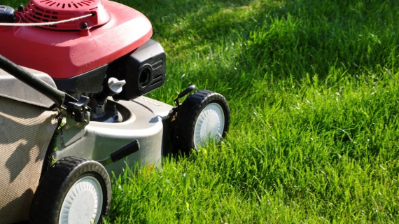 Illustration : Tonte de la pelouse : les règles à respecter pour éviter les contraventions